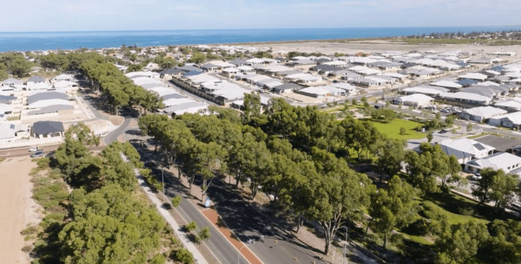 Satterley- Case Study