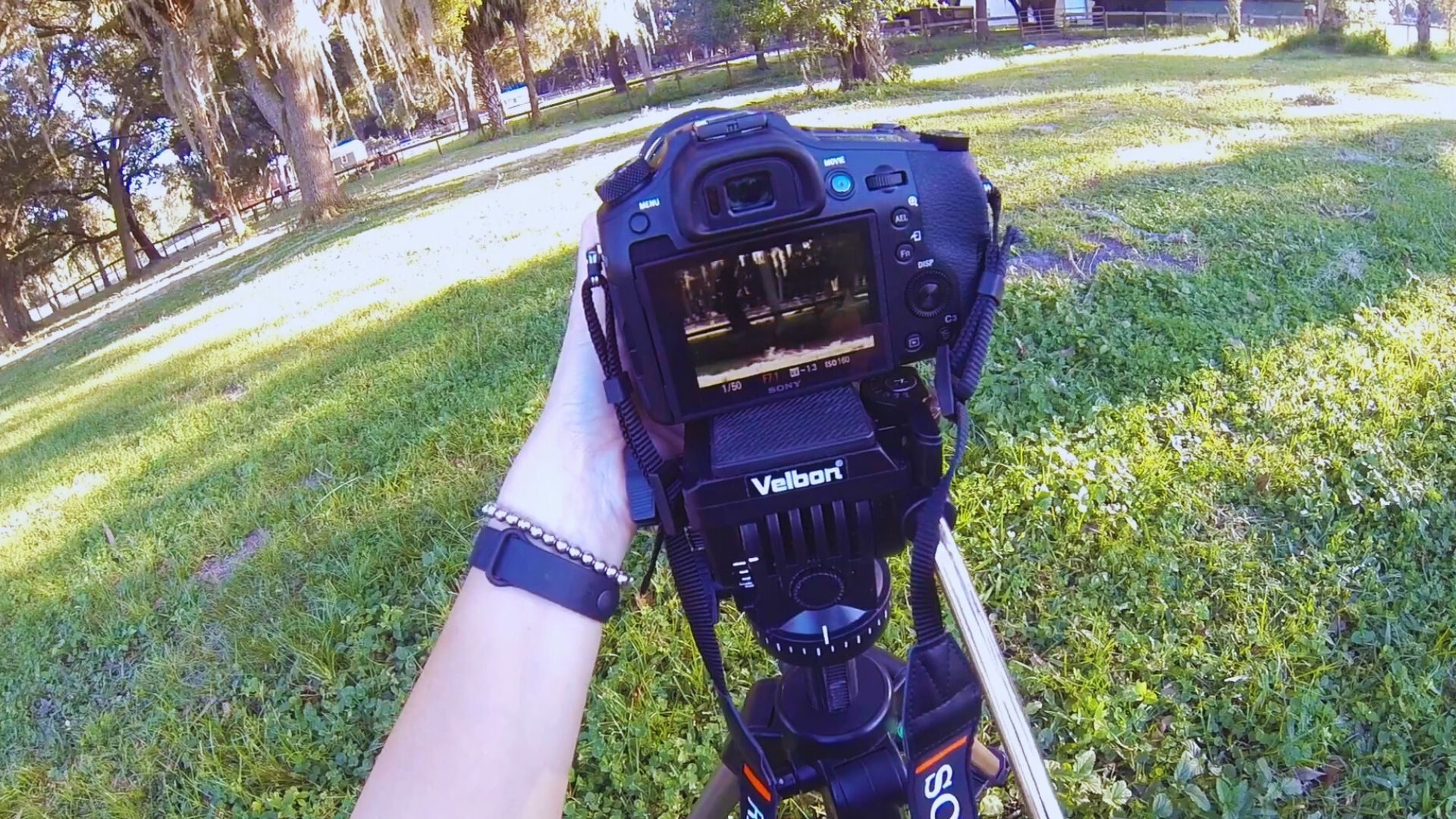Person holding a DSLR camera