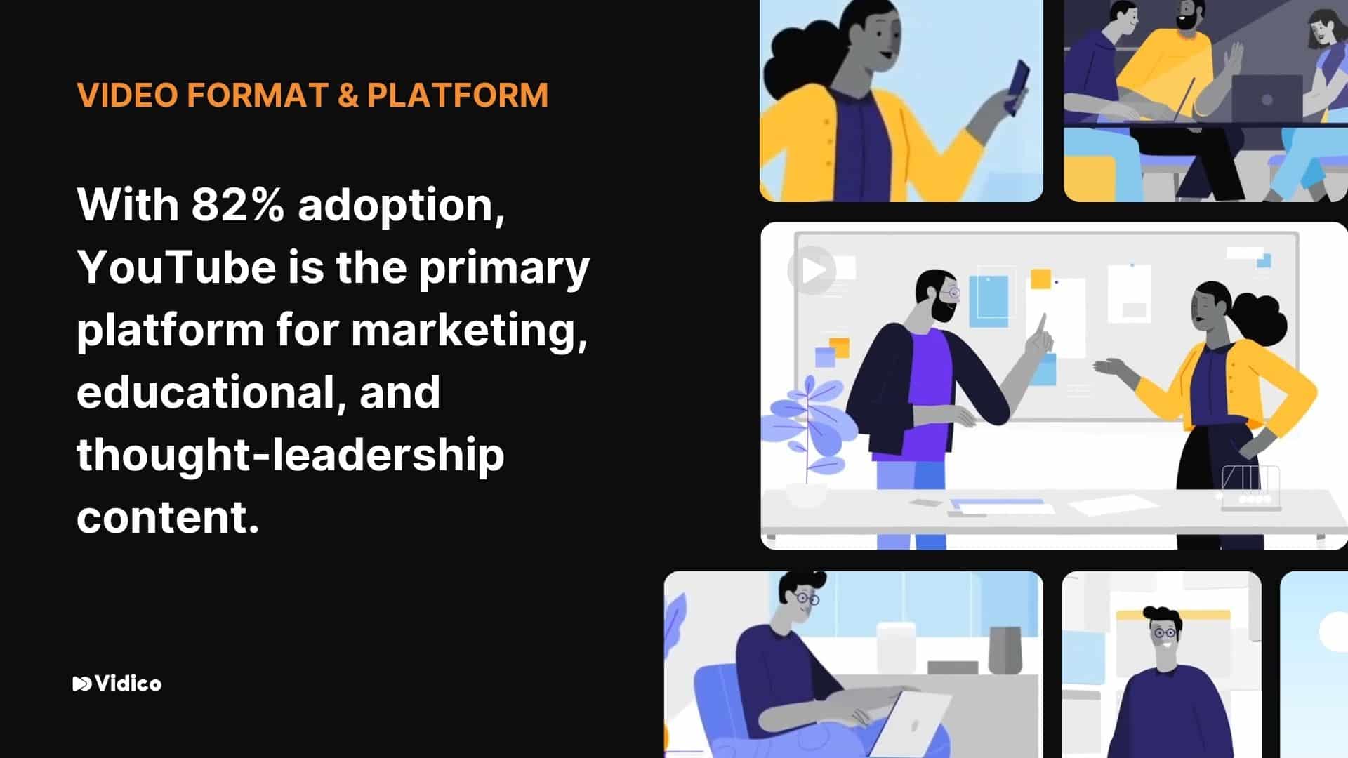 Video Format and Platform