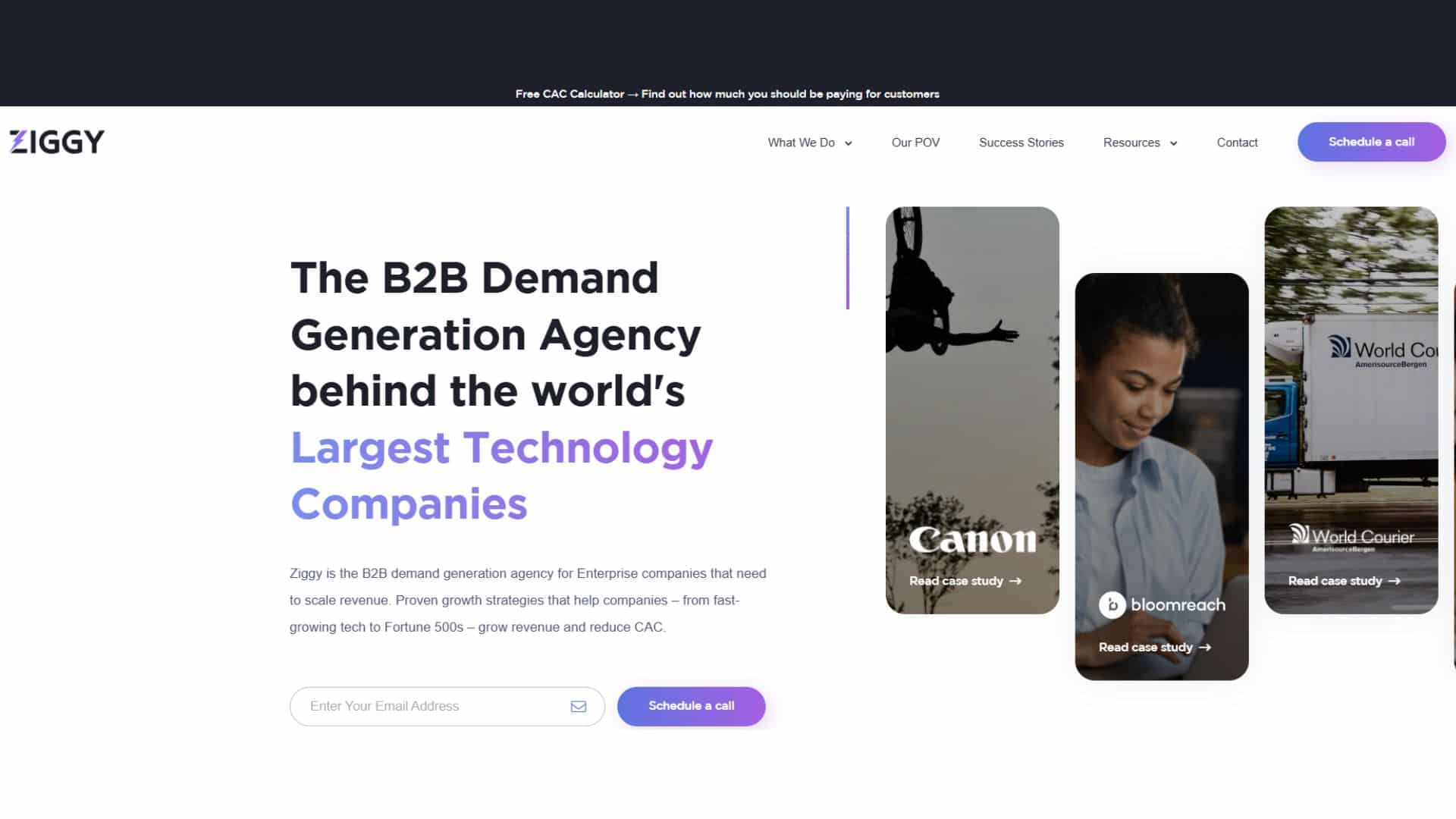 Ziggy website