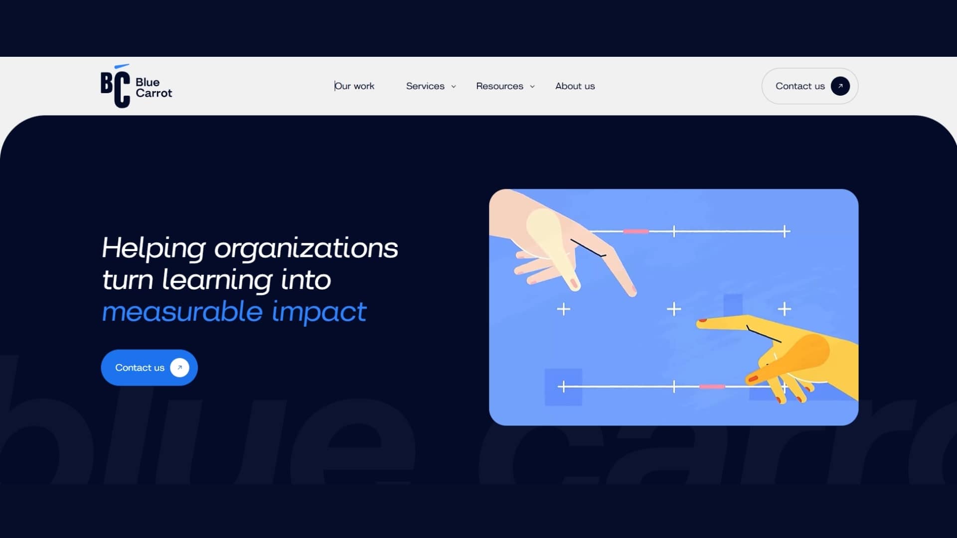 Blue Carrot Website