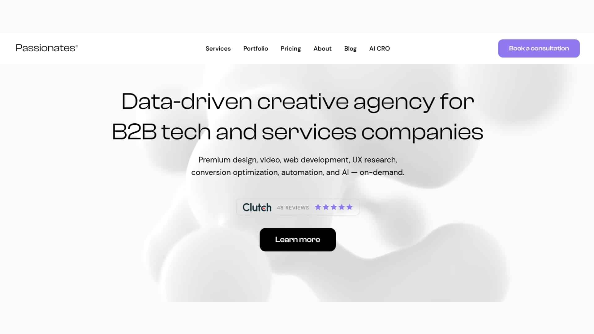 Passionate Agency Website